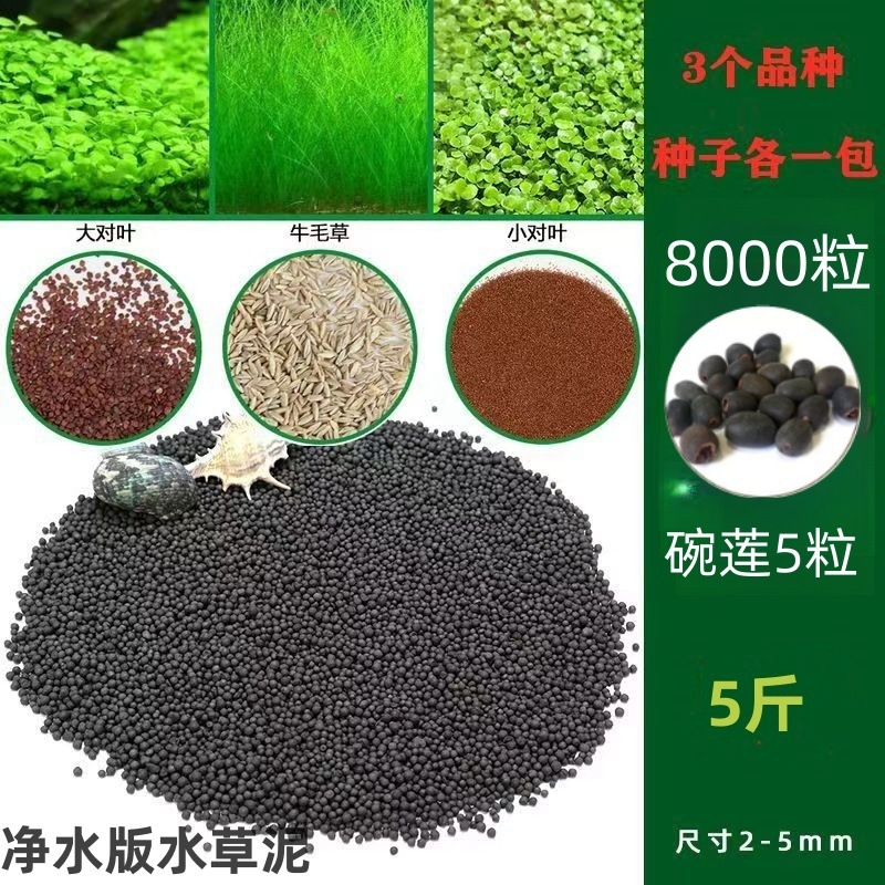 [핫세일] 워터그라스머드 2.5kg - 크고 작은 잎 쌍 + 소털 8000개 + 그릇연꽃 5개