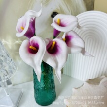 SֱNPU֧Rɏ滨 ٻlƵb czӰ