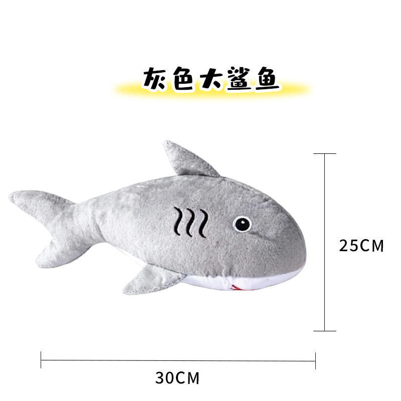 회색 상어