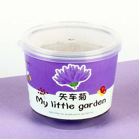Niños plantan pequeños jardines de infantes fresas plantas de mesa mini caja ciega diy verde juguetes puestos al por mayor image 16
