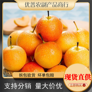 ���Ֆ|���Ϲ��氰ɽ�����χ������r���Ӯ������rˮ��������]���l
