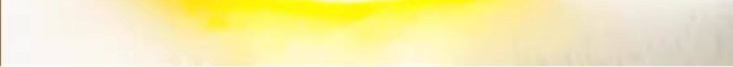 Premium Tibetan Saffron Crocus Sativus Stigmas Grade A Head Harvest 10g overview