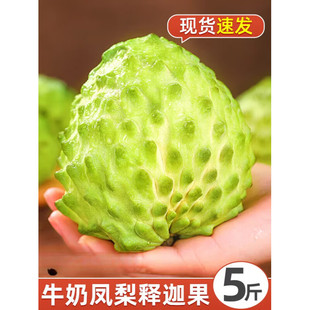 ̩����ȹ����r����֦5���Ŀ�P��ţ�̷��^������Ħ�������ˮ��