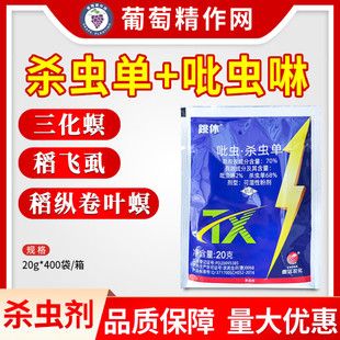 ���_ ����70%���x�� ���x�ε��v���~�������������wʭ���x���rș