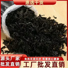 紫菜