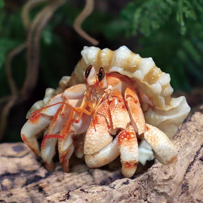 c65ed212-452a-417c-a69e-83d28ccbd564.jpe