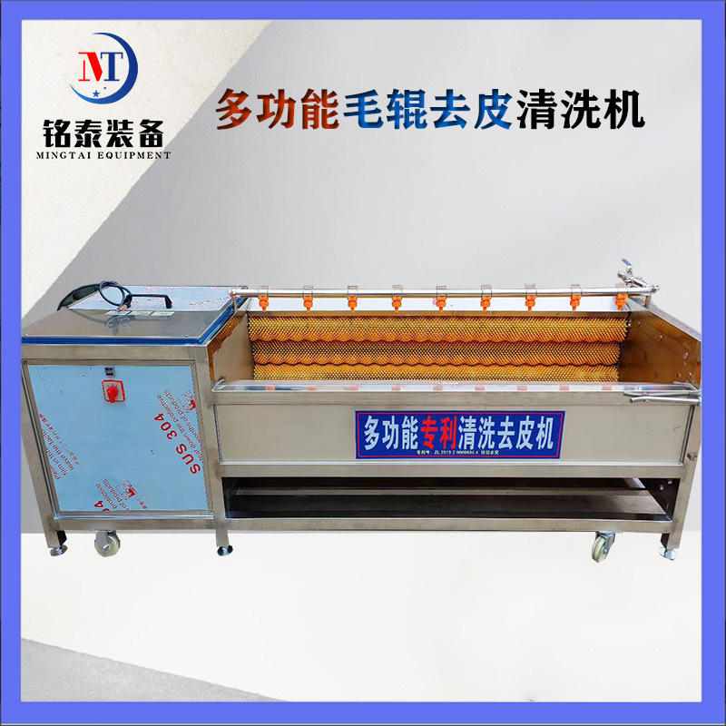 胡萝卜西红柿毛辊清洗机 净菜毛辊脱皮清洗机 莲藕生姜去杂