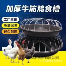 �uʳ���ϲ����iС�i��ʳ��ţ���i�����ϲ�ι�i��ɢ�B�u���Z����