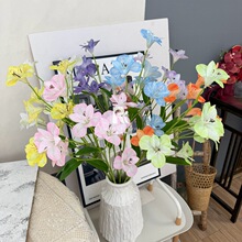 8�^ˮ�ɰٺϷ��滨�ҾӲ廨��c�Y���b��Ĕz�ٻ��쾰��ˇ���l