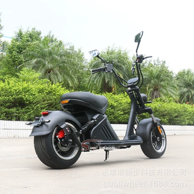 Elektrikli motosikletlər: City Riding, 60V30Ah Removable