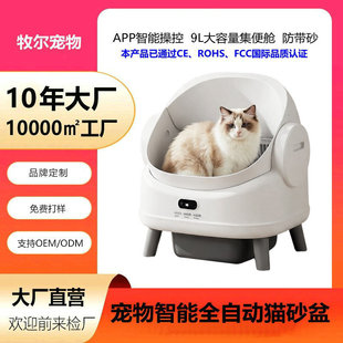 2026�¿�APPȫ�Ԅ�؈ɰ�����g�����Pʺ�Cȫ���]��ζ����؈����