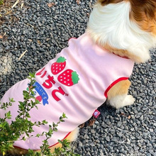 比熊脏衣防博美薄款柯基犬新款白狗狗中型泰迪小宠物户外夏季背心