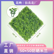 ����ֲ�4�����m�ݷ����⾀��uv �������ϲ�ƺ���ܼӺ����m��