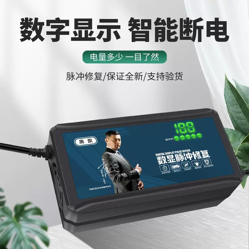 雅迪爱玛新日电动车电瓶充电器通用48V12AH60V20AH72V30A三轮通用