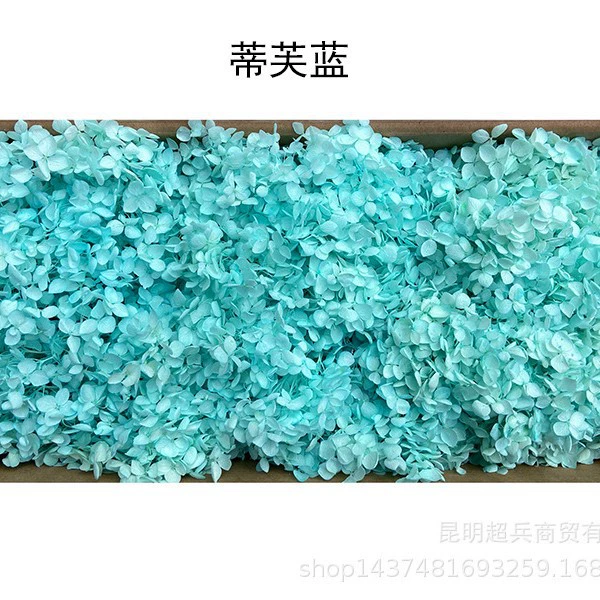 [Вечная Life Flower Hydrangea] Анна Градиентный цвет Лист Hydramid Книга цветов оптом DIY цветочная коробка материал для просмотра