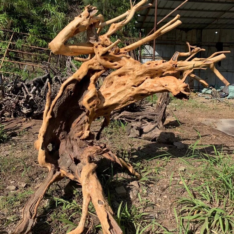 Landscaping Rainforest Rhododendron Tree Head, Tree Roots, Rhododendron Roots, Soft Fake Trees, Garden Root Sculptures, Original Ecological Fish Tank Landscaping