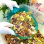 混合营养高蛋白冻干花枝