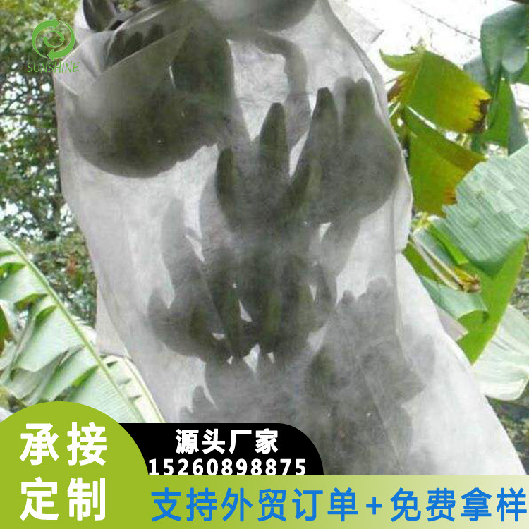 果农专用 水果防寒防虫保护袋 绿色环保材料 无纺布