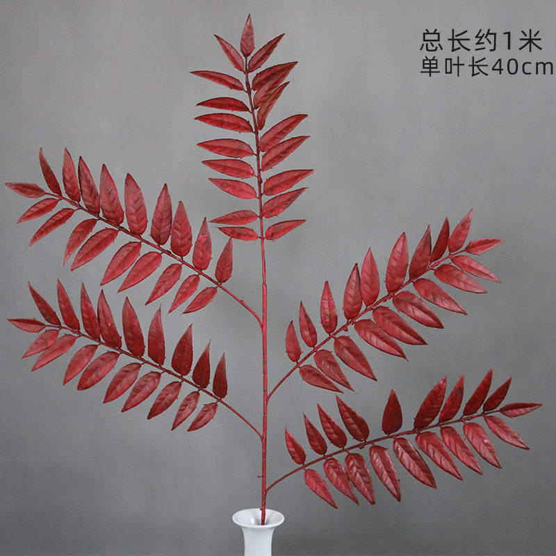 붉은 난디나 대나무