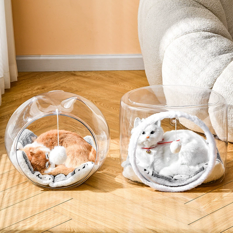 Домашние животные спят в полузакрытой комнате