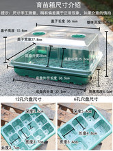 ˇ�g��@ˇ�������̖���w48��24��Ǥ���貥�N���琞�B���~��Ѩ�P