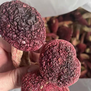 �����t�����x����ɽ���t��ɽ���؛���aƷ���ӹ�����ʳ�Įa��ֱ�N