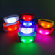 Voice controlled light