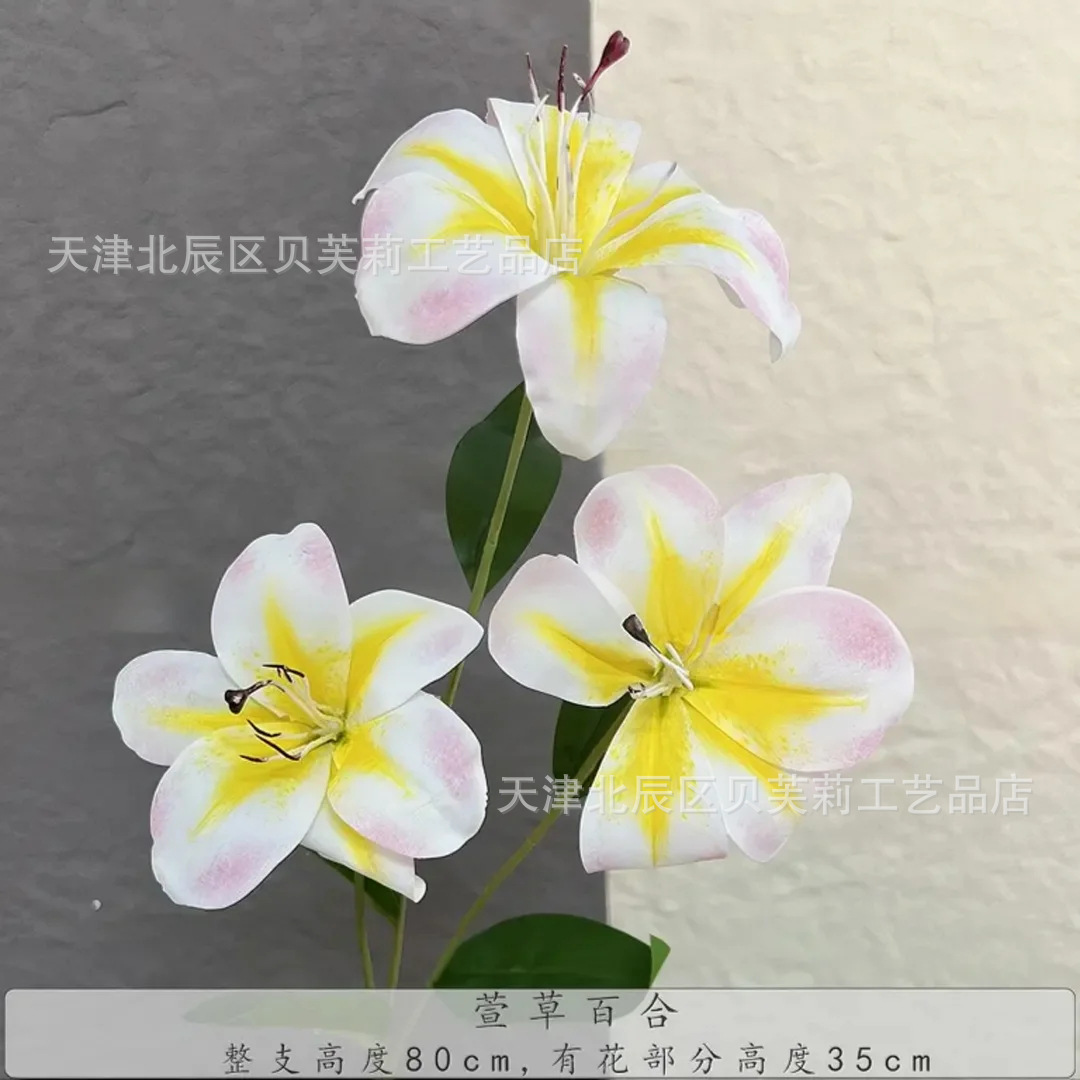 헤메로칼리스 릴리-라이트 핑크