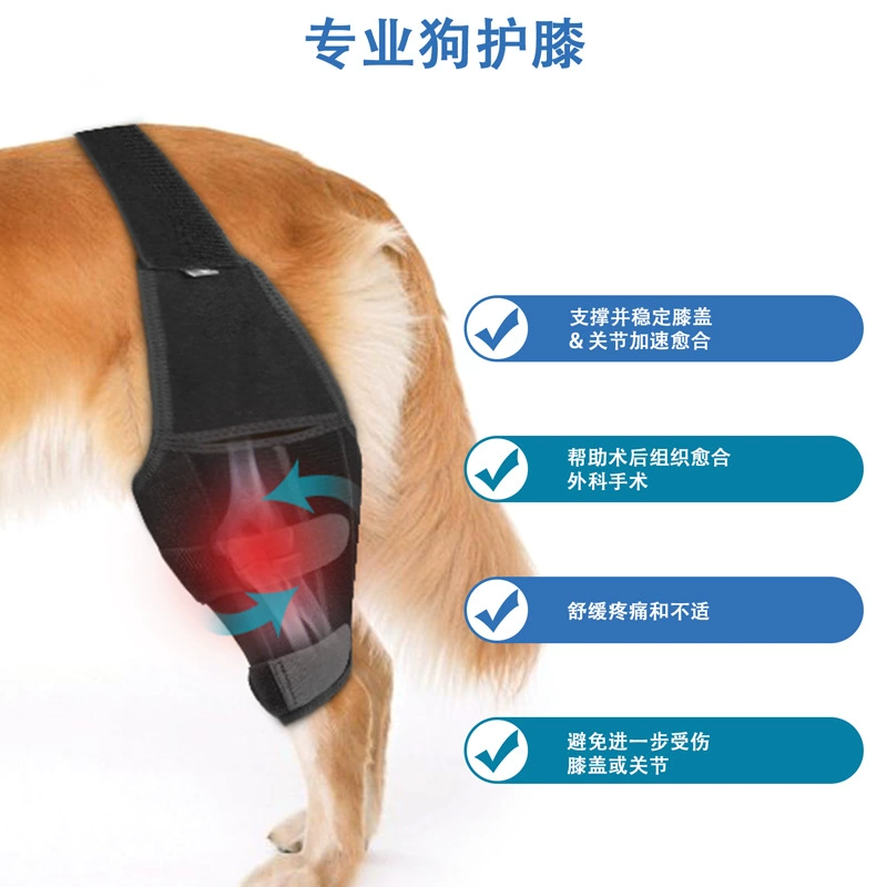 Knee pads, gaiters, protective gear, protective case, Amazon