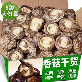 ����ľ�㹽��؛��؛ɢ�b��Ģ����񶬹��������u�Ҝ��������l�r