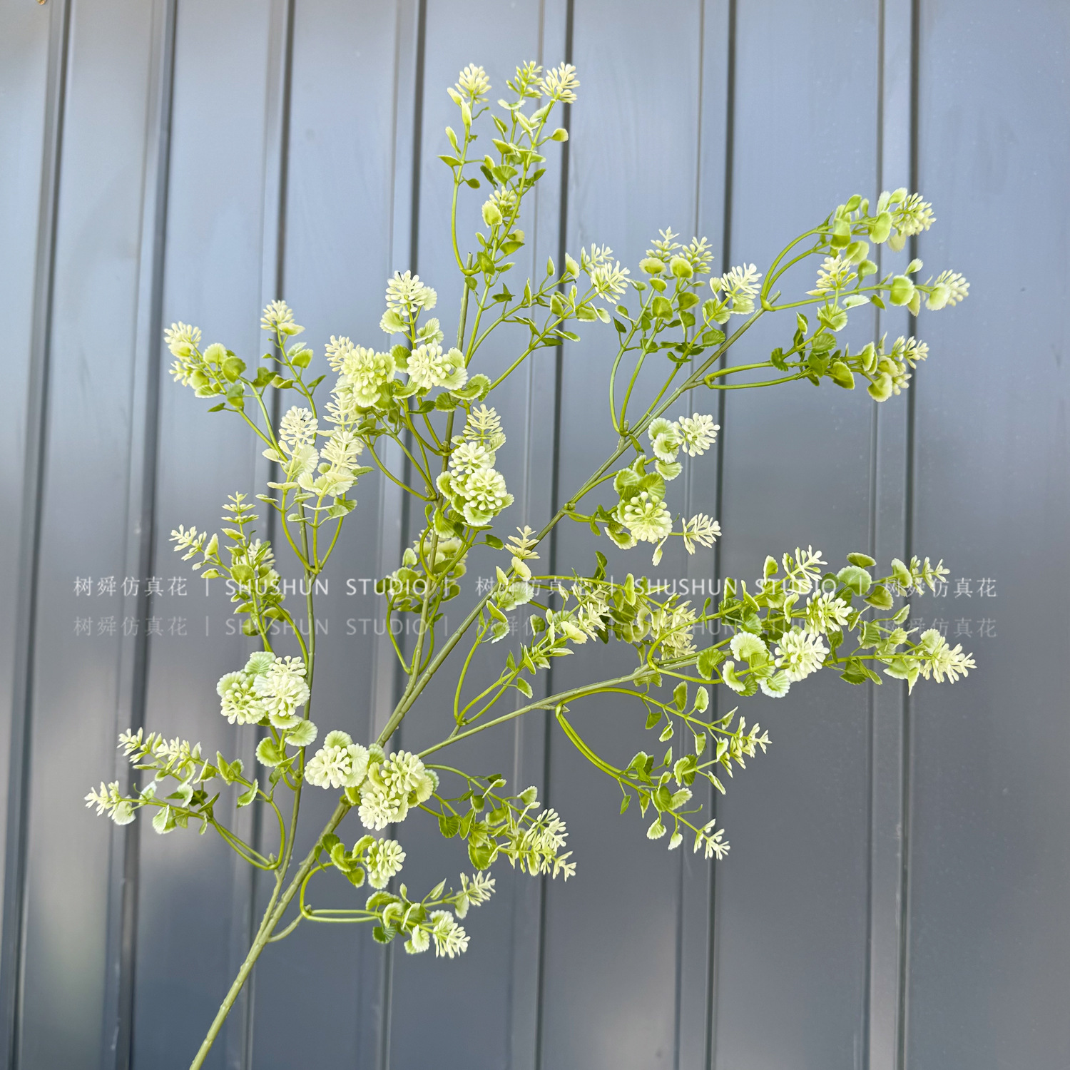 Flor de colza de 4 tenedores-verde claro