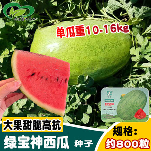 �r��G�������ϷN�� ����GƤ��t�����ϷN�� ����¶��ˮ���N��