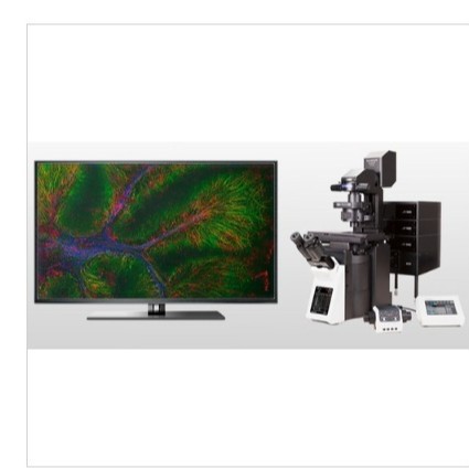 OLYMPUS奥林巴斯 FV4000 激光扫描共聚焦显微镜