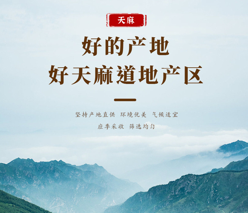Yunnan Zhaotong Tianma Dried Gastrodia Root Whole and Sliced TCM Herb 500g Bulk quality and texture
