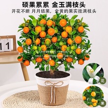 �ļ���ۘ������Ԏ���ֲ���҃Ⱥ��B���ܿ͏d����С���Ә���ؔ�辰