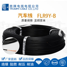 ����FLR9Y-B�ˆ�о������܇�� �l�әCœ�ߜؾ� ܇���Դ�B�Ӿ�