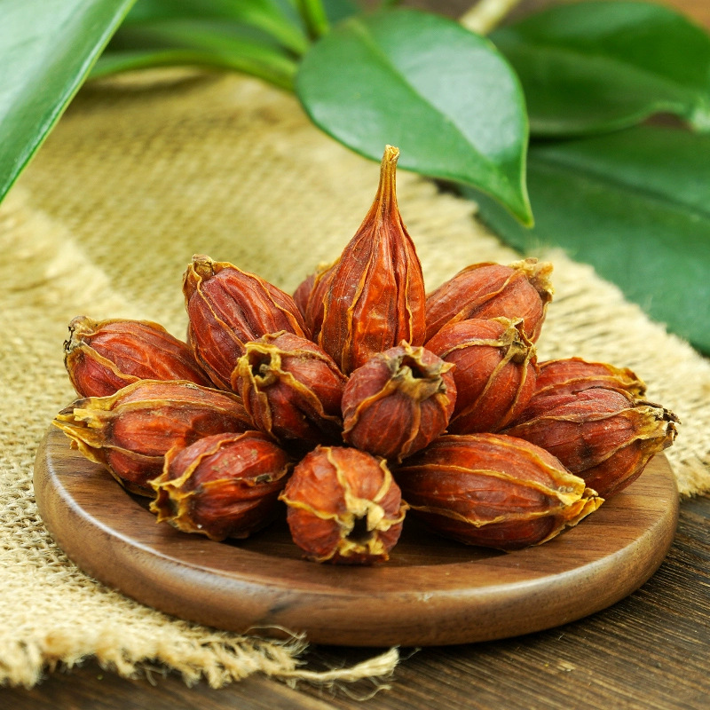Dried Gardenia Fruit Zhi Zi 500g Whole Gardenia jasminoidis Fruit for Tea Wine and Foot Soak quality and texture