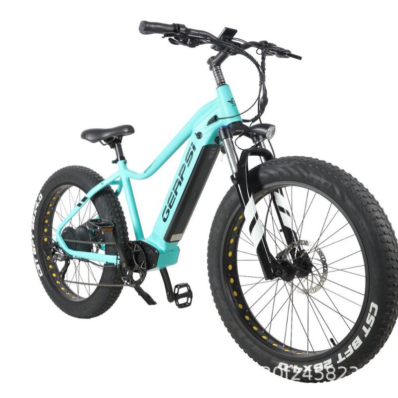 26inch Fat Tire Adult Mountain Bike with Shock Absorption, 9-Speed, Unisex, for Off-Road, City, Road Racing, and Electric Bicycle Use 26inch Fat Tire Adult Mountain Bike with Shock Absorption, 9-Speed, Unisex, for Off-Road, City, Road Racing, and Electric Bicycle Use