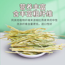 国产手挑燕麦草500g澳麦黄金燕麦草干草一番兔子豚鼠绿澳麦一压