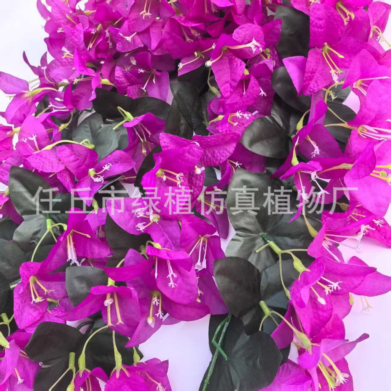 微信图片_20250312093053