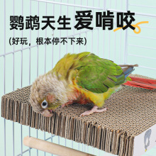 鹦鹉纸板站台鸟类啃咬发泄干层游戏解闷磨嘴站板乌笼配件XH