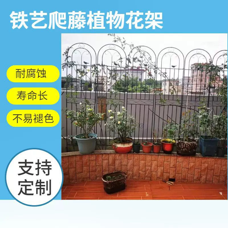 铁艺围墙栅栏葡萄架花支架爬藤植物花架蔷薇花花园户外庭院爬藤架