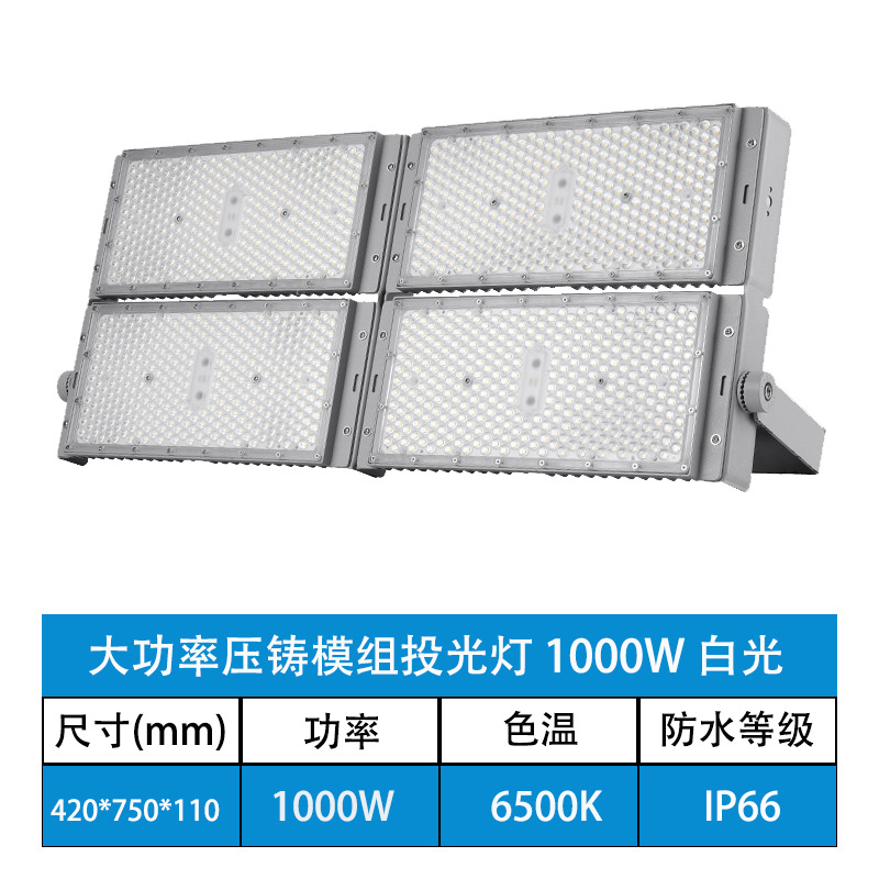 1000w (chip Puri + fuente de alimentación de protección contra rayos)