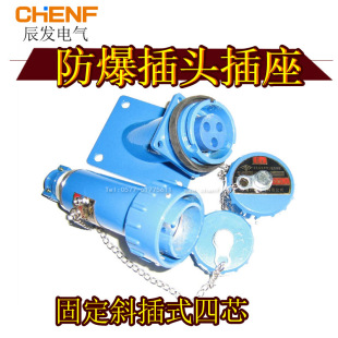 Fixed High-Current Angled Explosion-Proof Plug and Socket, Single-Phase 3-Pole Outdoor Cable Plug and Socket