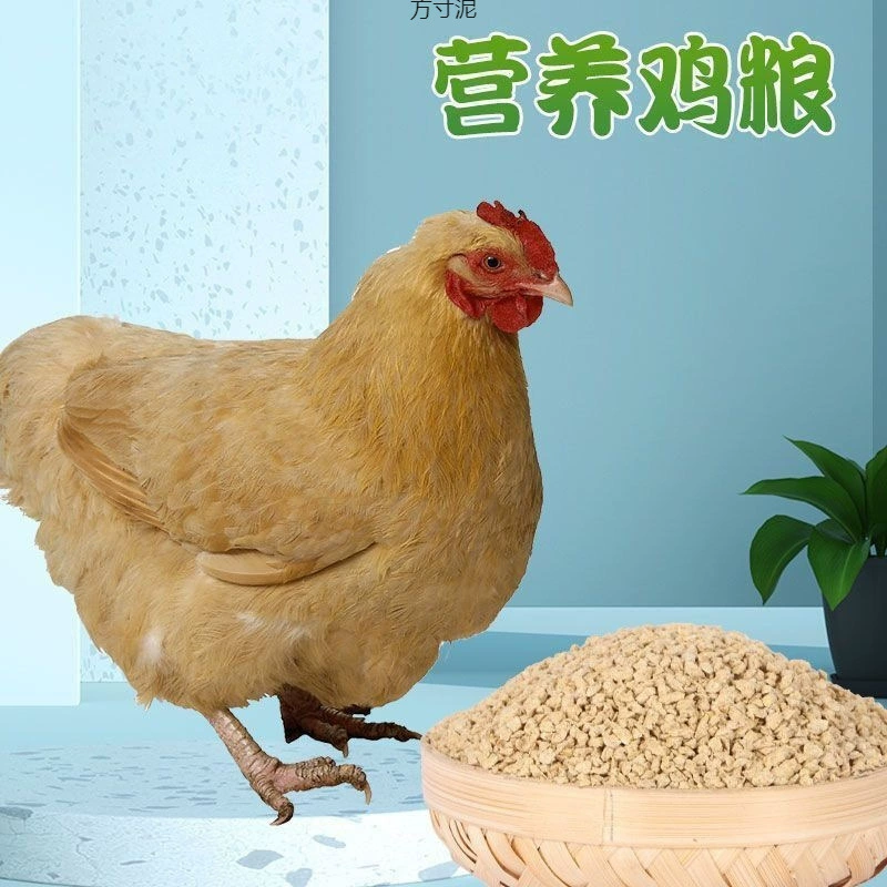 Гранулированные корма для кур, корм для цыплят открытого типа, корм для несушек, перепелов, кур, уток, гусей, птицы, корм для уток, корм для кур оптом.