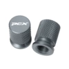 Titanium color (PCX)