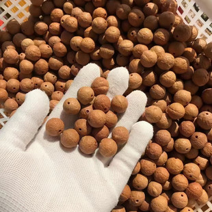 �S��ֱ�N�����Ჴ���P������ɢ���P�ۆ��wɢ���P�ۏS�Ҵ������l