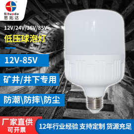 12vled灯节能灯泡e27螺口矿井机床船舶交直流24v36v85v低压球泡灯