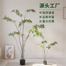 绿植水石榕酒店橱窗轻奢植物北欧客厅家居装饰树假树