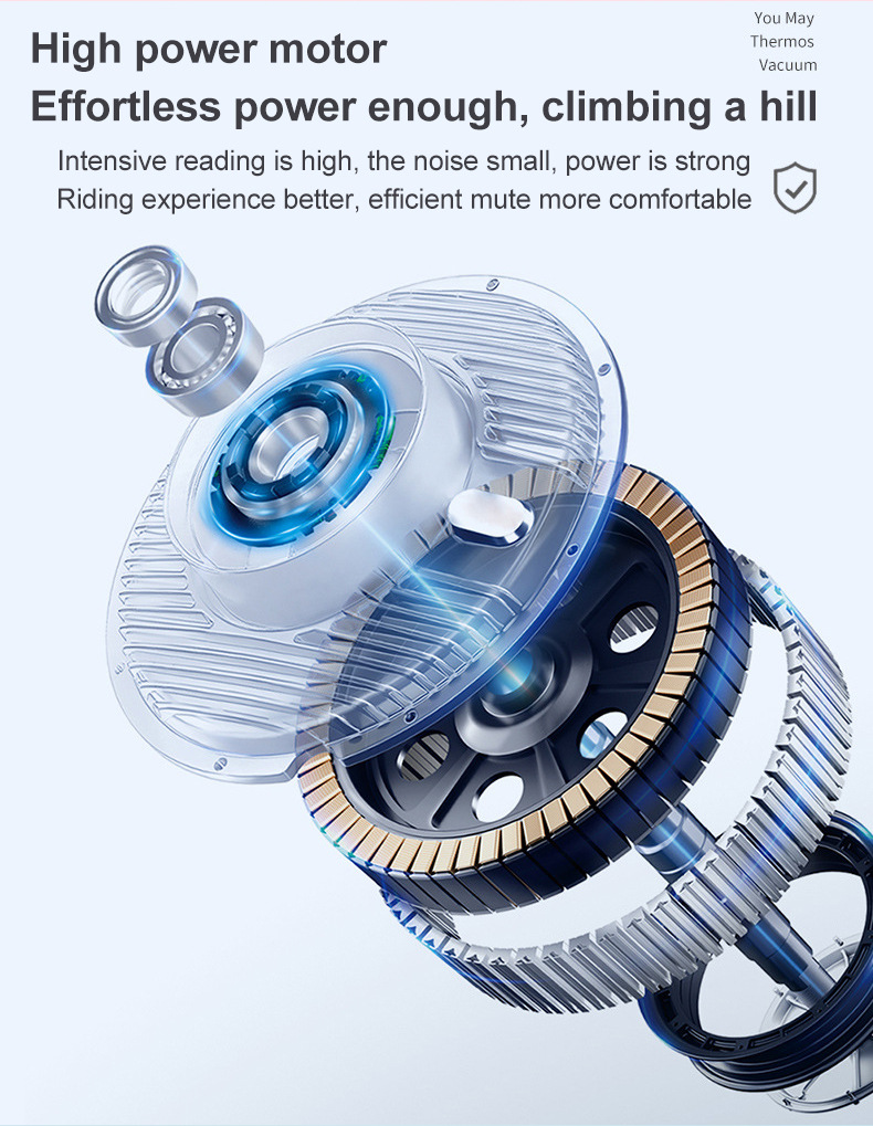 Home Electric Tricycle 800W